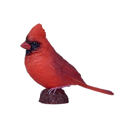 Red Cardinal - image 3