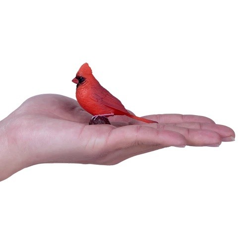 Red Cardinal - image 4