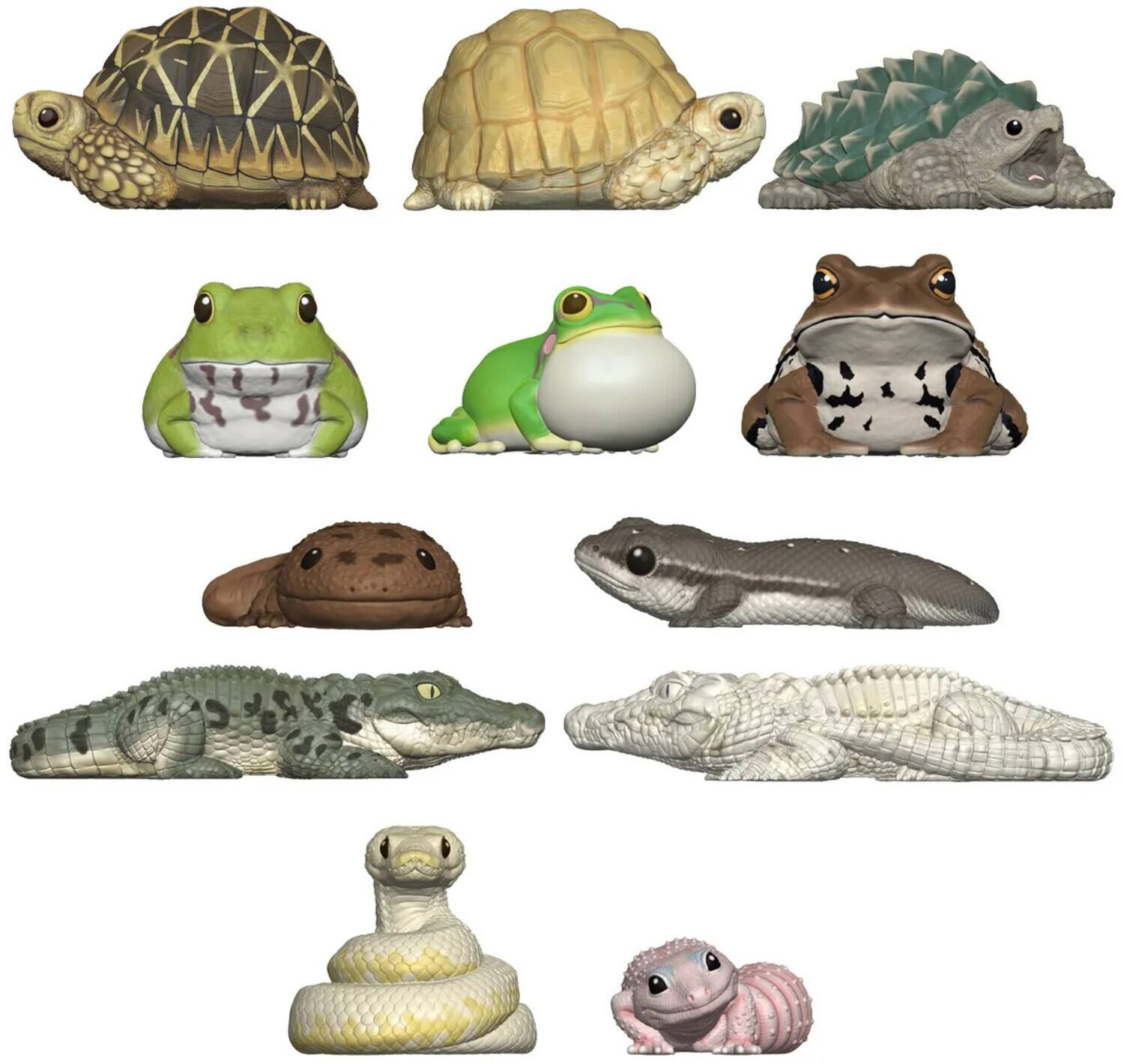 Multicolor blind box display featuring 12 collectible figures of various animals, including turtles, frogs, and a snake, made of soft plastic with detailed textures.