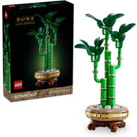 LEGO Botanicals Lucky Bamboo set with green bamboo stalks, leaves, and round pot with decorative stones.
