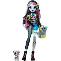 Monster High Frankie Stein doll with mismatched outfit, blue and pink hair, holding a bag, and a small pet figure.