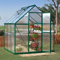 Green-framed polycarbonate greenhouse with clear panels, sloped roof, and open door, showcasing potted plants inside.