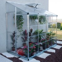 Silver polycarbonate greenhouse with clear panels, slanted roof, and door, housing various potted plants.
