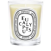 Diptyque Eucalyptus candle in clear glass jar with black and white label, featuring bold lettering.
