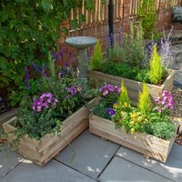 Set of three rectangular wooden garden planters with vibrant flowers and greenery, natural wood finish.