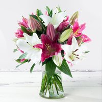 Mixed Lily Bouquet with pink and white lilies, green leaves, in a clear glass vase.