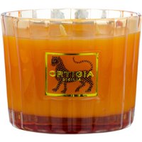 Amber Ortigia candle with four wicks, featuring a gold label with a black leopard design on a ribbed glass container.