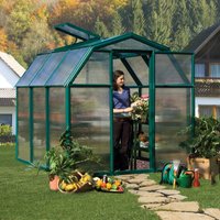 Green Palram Canopia Rion EcoGrow 6x6 greenhouse with resin frame, clear panels, and a vented roof.