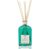 Clear glass bottle with turquoise liquid, labeled "Salentum," featuring natural reed sticks for diffusion.