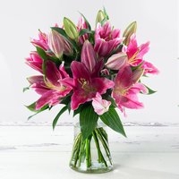 Stargazer Lily Bouquet with vibrant pink blooms, green stems, and buds in a clear glass vase.