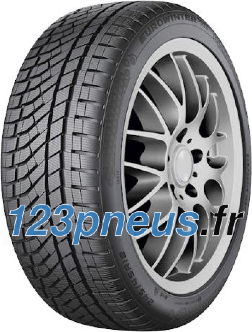 Falken EUROWINTER HS02PRO tire in size 225/55 R19, featuring a black rubber surface with a detailed tread pattern and a silver alloy wheel design.