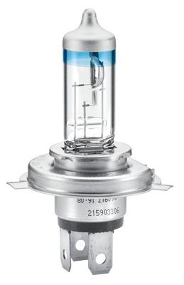 Hella HELLA 8GJ 223 498-021 Light Bulbs PERFORMANCE up to 120% H4