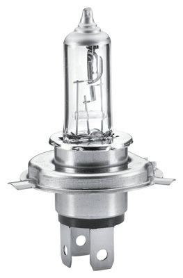 Hella HELLA 8GJ 223 498-221 Light Bulbs PERFORMANCE up to 60% 60/55W