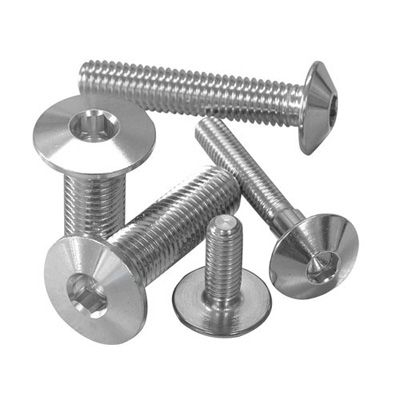 Dome head stainless steel bolts in various lengths, featuring a shiny metallic finish, with M6 x 1.00mm threading and a 30mm length, showcasing durability and corrosion resistance.