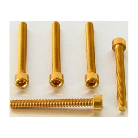 Five gold alloy parallel Allen head bolts, each measuring M6 X 1.00mm X 55mm, featuring a hexagonal socket for easy installation.