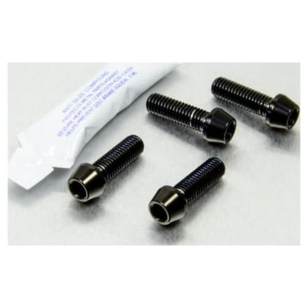 Pro-Bolt stainless steel bottom clamp yoke pinch bolt kit featuring four black bolts with a shiny finish and a small tube of lubricant.