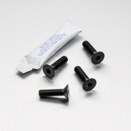 Pro-Bolt Stainless Steel Grab Rail Mount Bolt Kit featuring four black screws with flat heads and a small tube of adhesive.