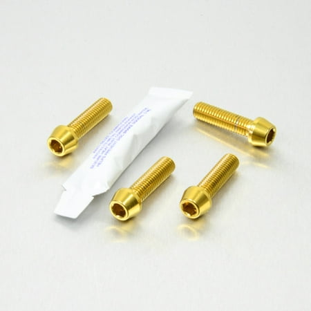 Pro-Bolt stainless steel grab rail mount bolt kit featuring four gold bolts with hex heads and a small packet of adhesive, designed for durability and style.