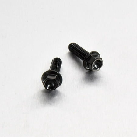 Two black stainless steel hose clip mount bolts with hexagonal heads, showcasing a sleek finish and durable construction.