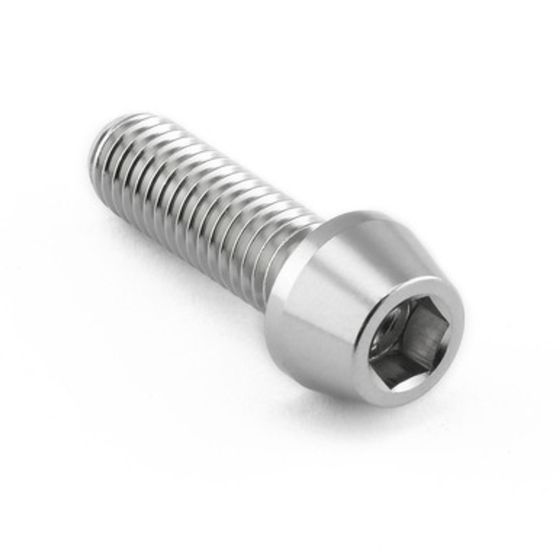 Stainless steel mounting bolt with a silver finish, featuring a hexagonal socket head and a threaded shaft for secure installation of screens and mirrors.