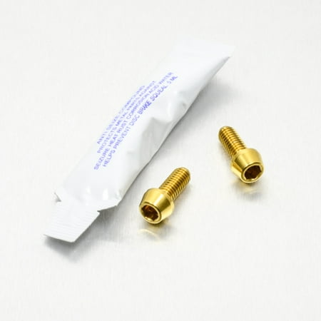 Pro-Bolt stainless steel speed sensor mounting bolt kit featuring two gold bolts and a small packet of adhesive, showcasing a sleek metallic finish.