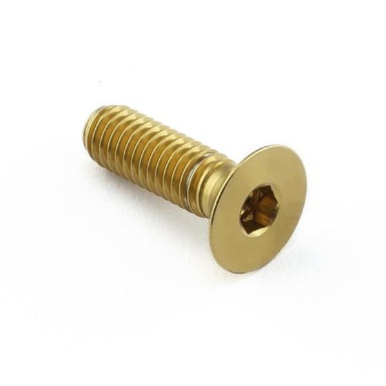 Gold stainless steel swingarm mounting plate bolt with a hexagonal socket head, featuring a smooth finish and threaded shaft for secure installation.