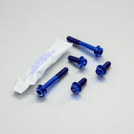 Pro-Bolt Titanium Exhaust Mount Bolt Kit featuring five blue titanium bolts with hex heads and a small packet of adhesive.