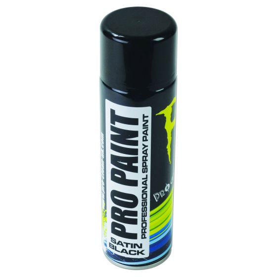 Satin black spray paint can with a sleek design, featuring bold "PRO PAINT" text and a vibrant blue and green accent, ideal for professional use.