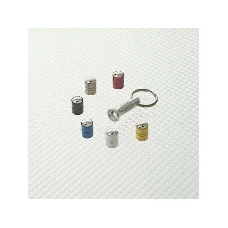 Richbrook Spinning Anti Theft Valve Caps in gold, featuring a sleek metallic finish, with a set of six caps in various colors arranged around a keyring.