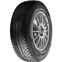 Black Cooper Discoverer Winter tire, 205/60 R17 93H, with detailed tread pattern and visible sidewall branding.