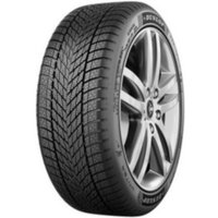 Dunlop Winter tire 205/55 R16 91H, black with intricate tread pattern, mounted on a silver alloy wheel.
