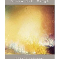 "Orange Sunshine album cover with abstract yellow and orange gradient artwork"