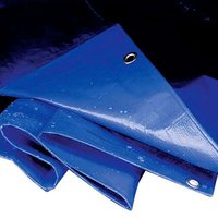 Blue Sealey heavy duty tarpaulin, 6x8ft, with reinforced edges and metal grommets for secure fastening.