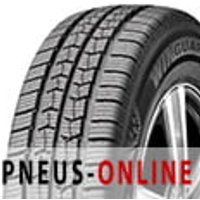 "Winguard WT1 tire by Nexen, black rubber with detailed tread pattern and sidewall branding, mounted on alloy wheel"