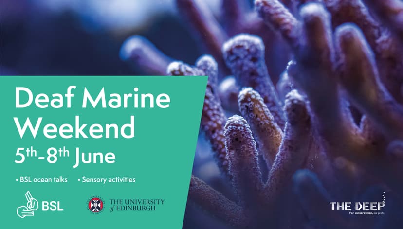 Close-up of coral with Deaf Marine Weekend event details