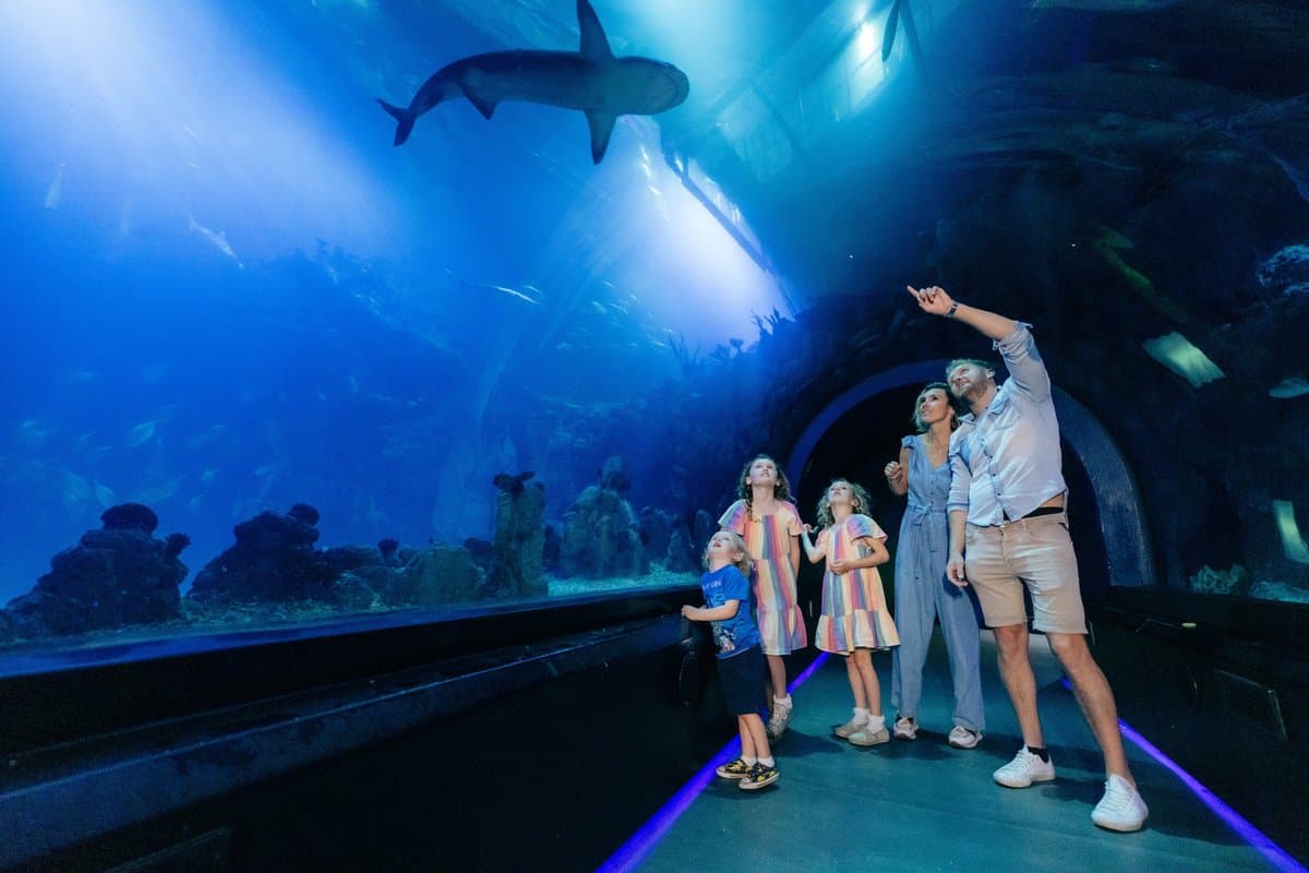 Family observing shark swimming in large aquarium tunnel