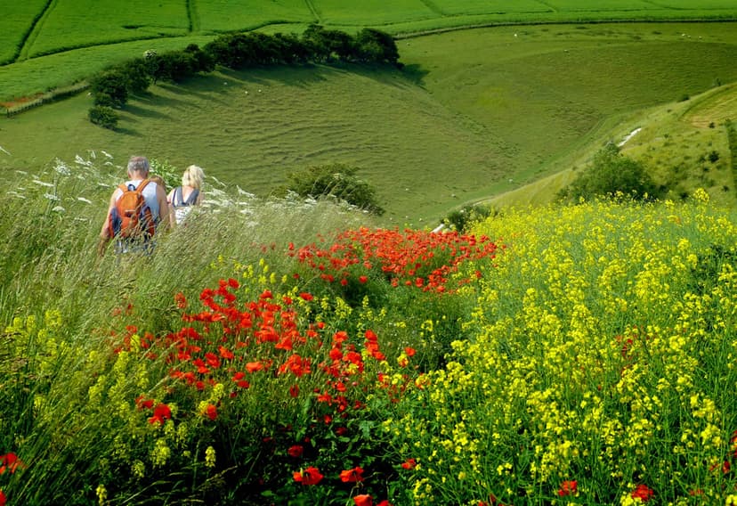 Featured image for Walk: Yorkshire Wolds Way National Trail - walking