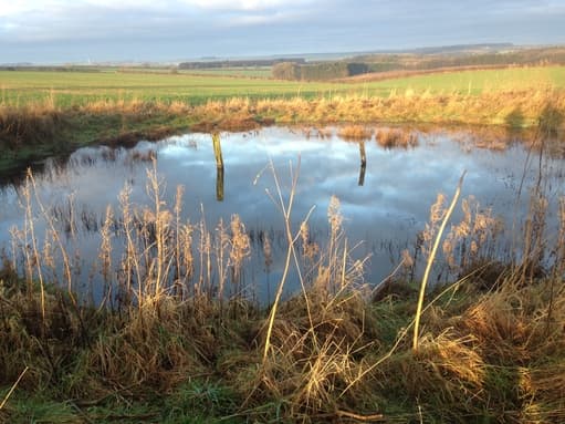 Featured image for Yorkshire Wolds Dew Pond Wander: a journey through time - Outdoors