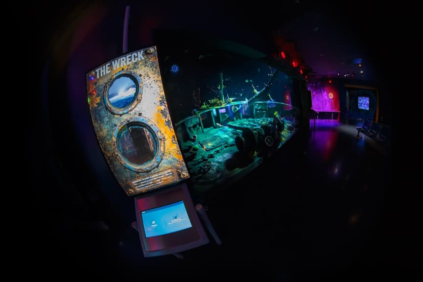 Featured image for What Is The Wreck New Habitat at The Deep in Hull This Summer? - Community