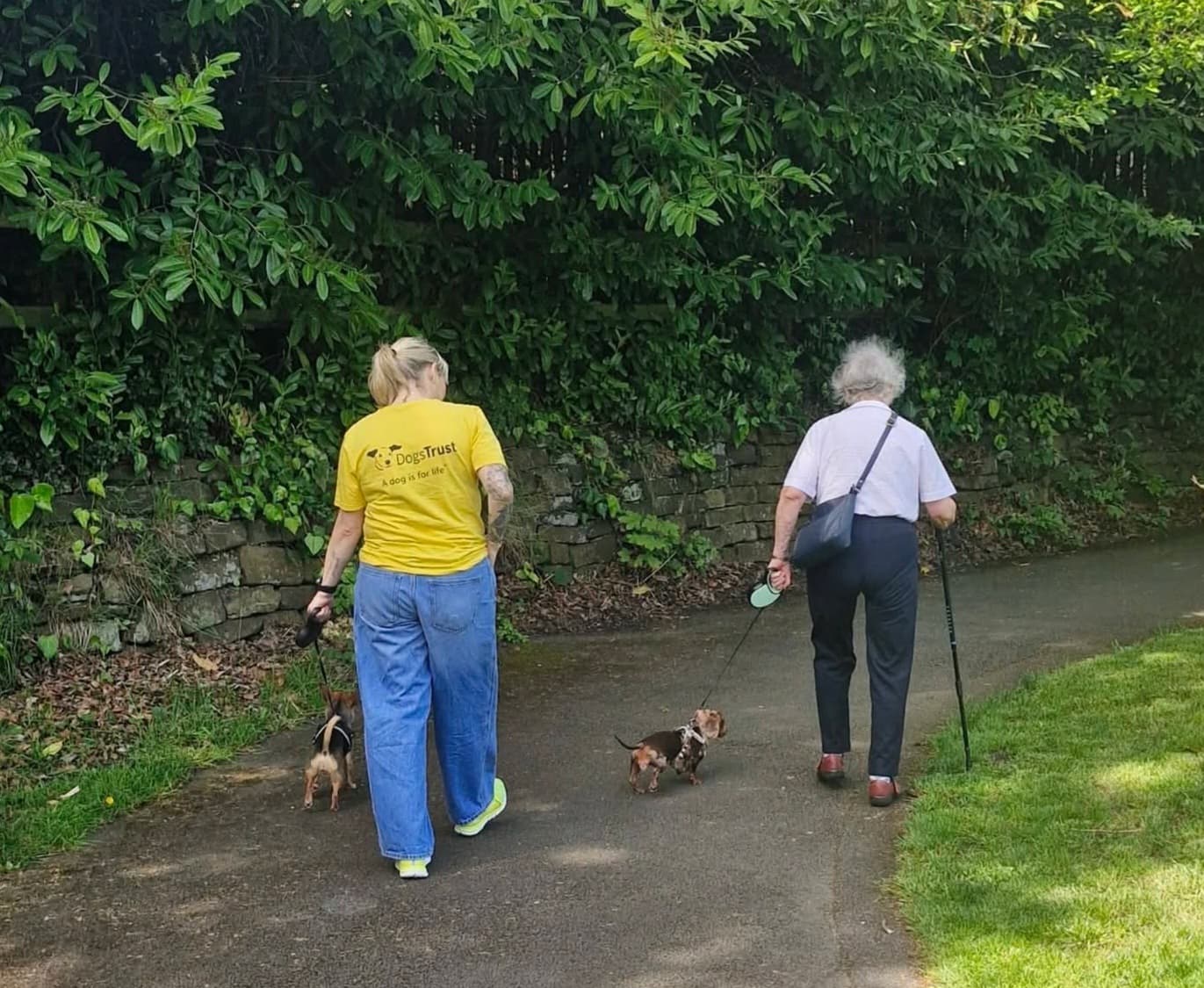 Two women walking small dogs along a leafy path