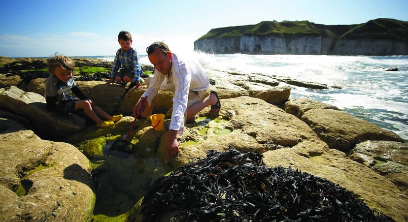 Featured image for Family Fun on Yorkshire's Magnificent Coast - Features