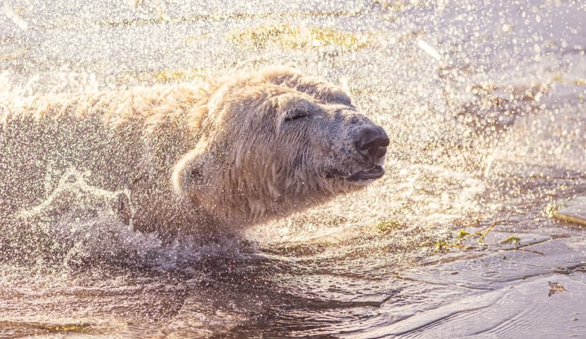 Yorkshire Wildlife Park Has Been Named One of the UK’s Best Attractions by Which?