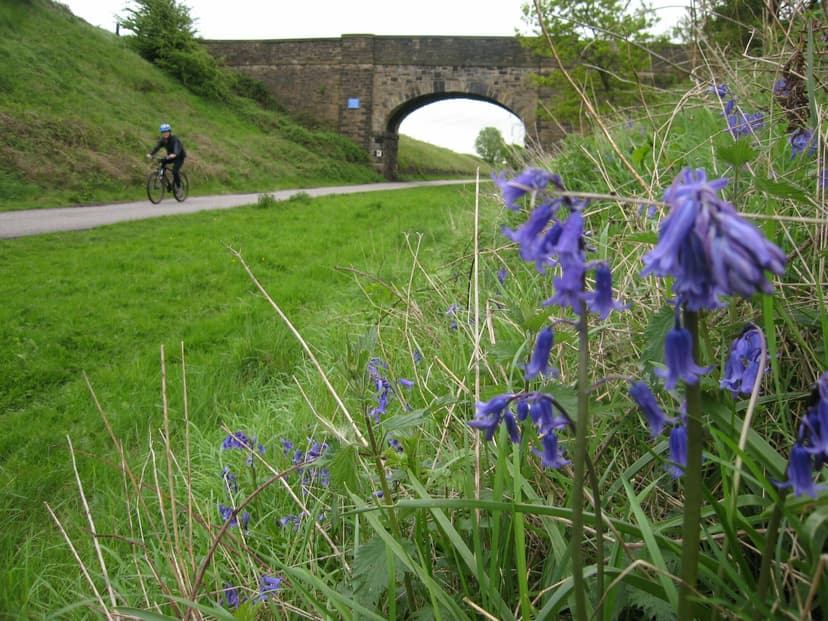 Featured image for Spen Valley Greenway - Outdoors