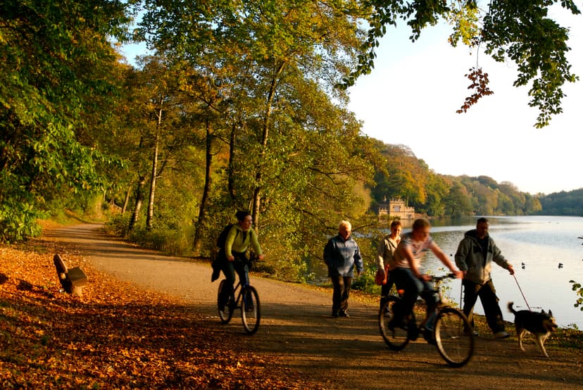 Featured image for Leisure and Road Cycling - On Wheels