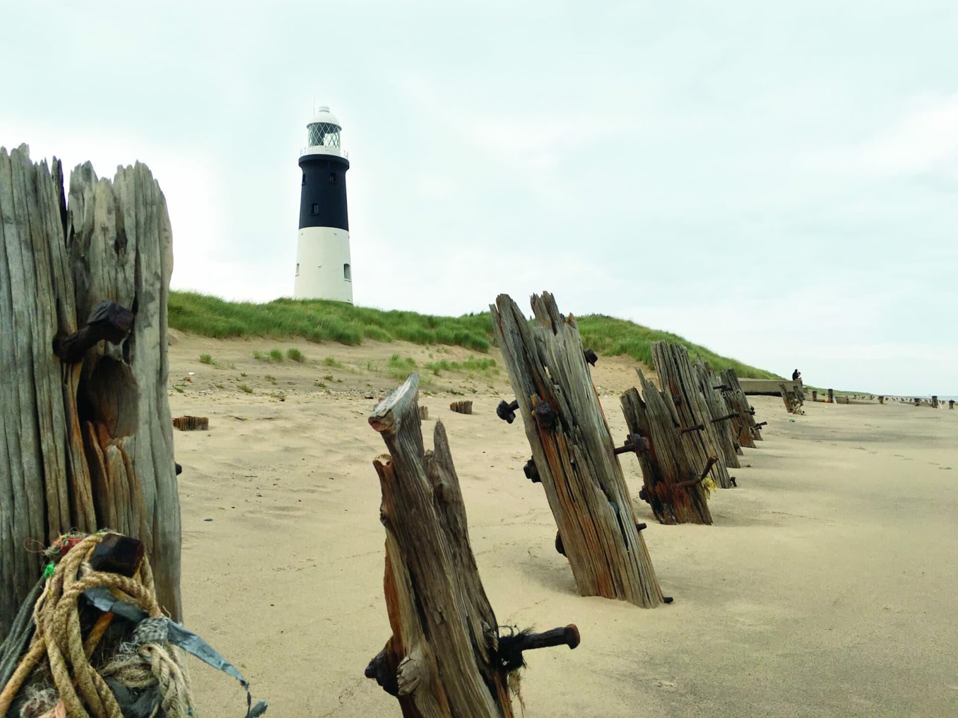 A journey to Yorkshire’s Land’s End: Walking at Spurn National Nature Reserve