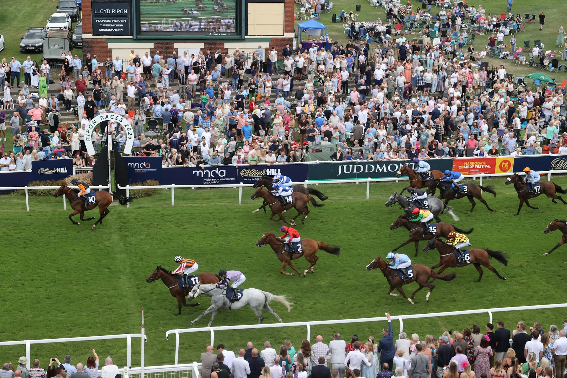 Great St Wilfrid Day at Ripon Racecourse to Support MND Association on August 11, 2026