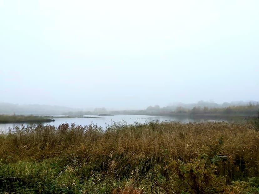 Featured image for A family walk around RSPB St Aidan's - Outdoors
