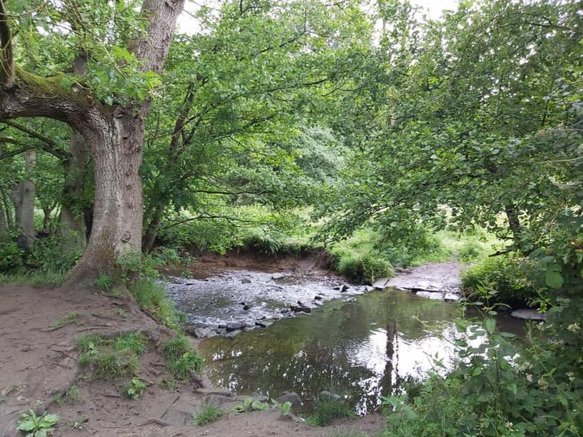 Featured image for Family adventures at Meanwood Park - Outdoors