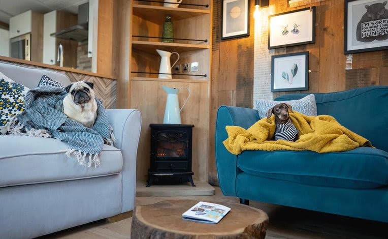 Offer: Up to 10% on dog-friendly breaks with Away Resorts