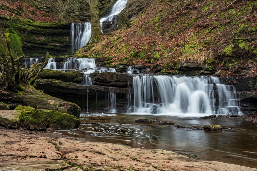 Featured image for Walk: Settle, Scaleber Force and Jubilee Cave - walking